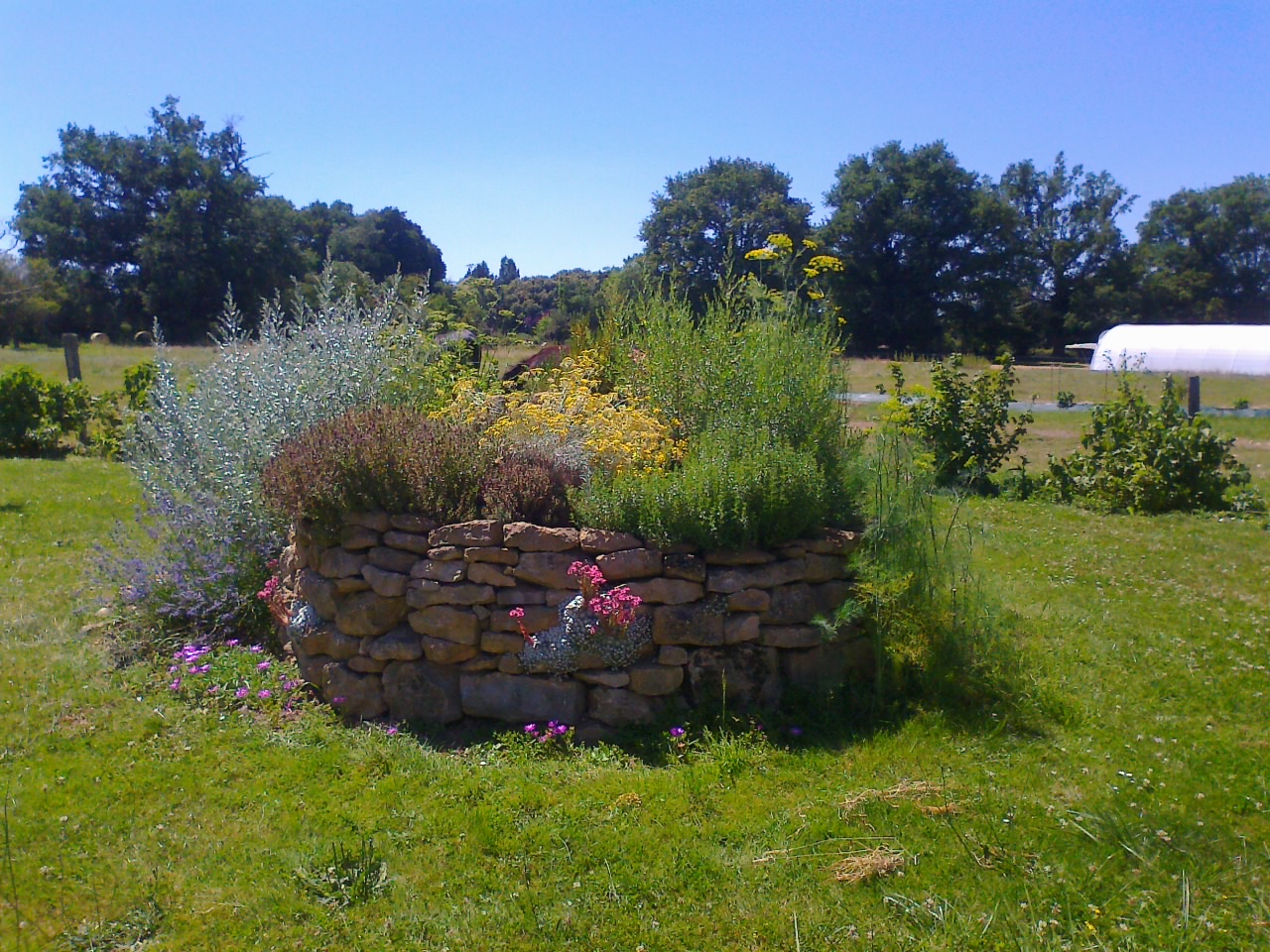 Spirale de plantes aromatiques