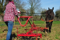 Travail du sol en douceur