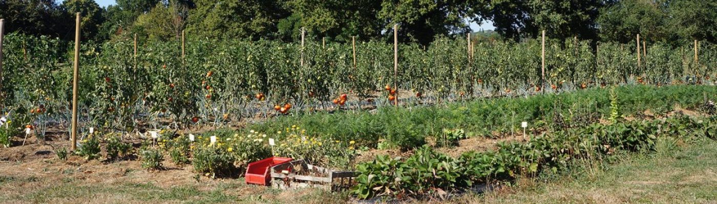 Le Potager de Nohant