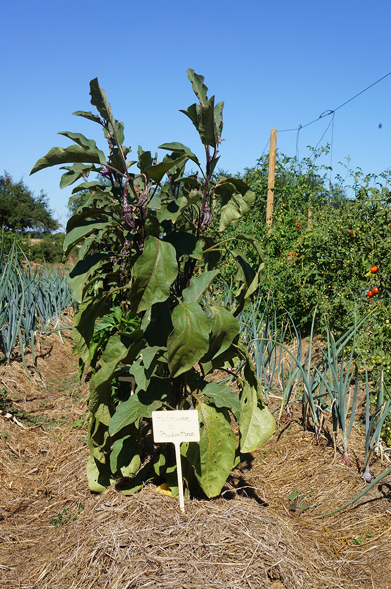 le-potager-de-nohant-2