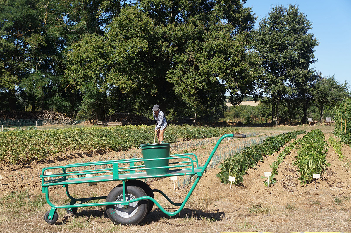 potager-de-nohant-legume