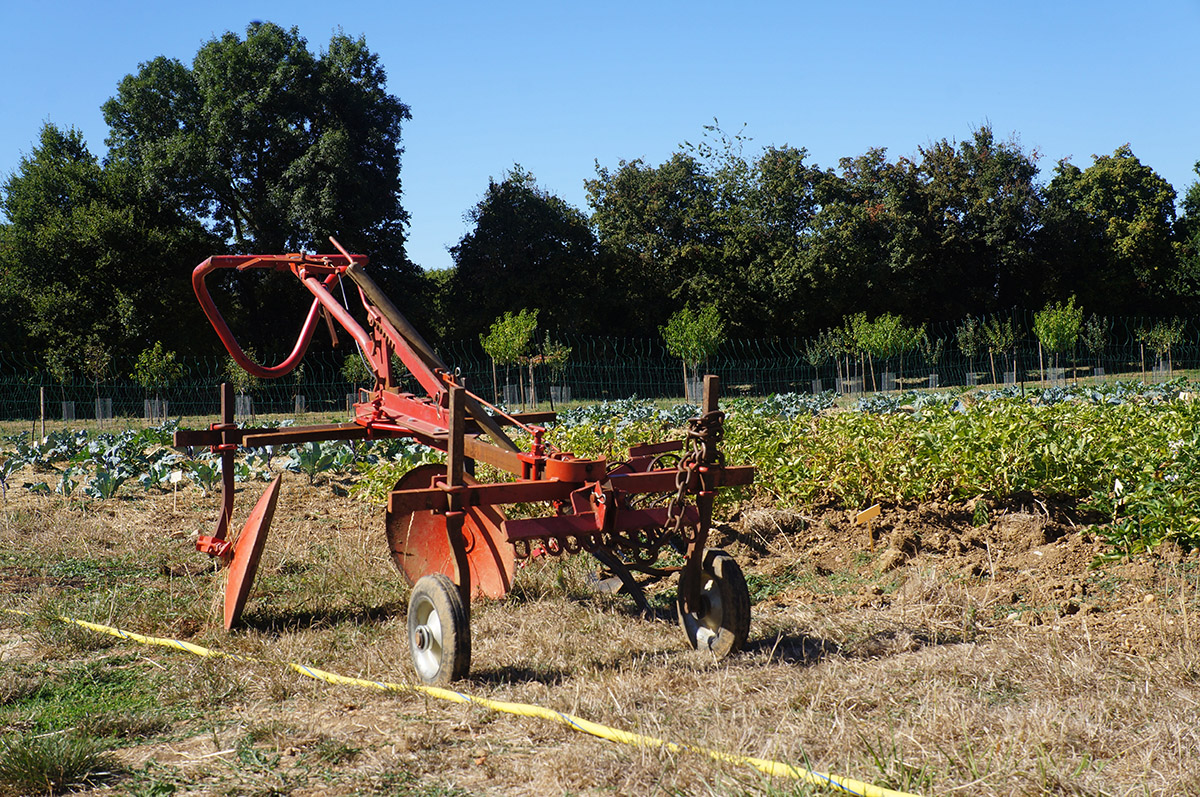 potager-de-nohant-legumes