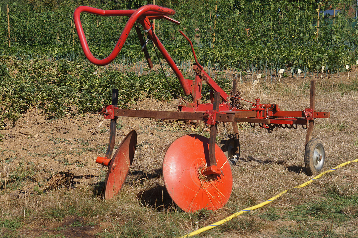 potager--fabienne-mijoin