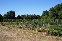 potager-de-nohant