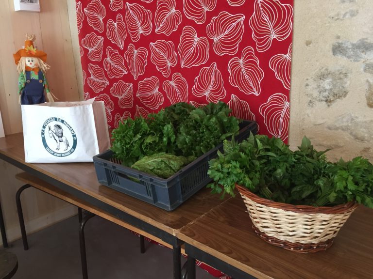 Il Ya Du Brouhaha Dans Le Potager